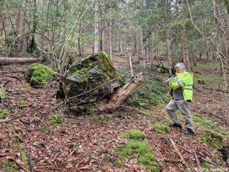 Zaščita skale nad naseljem Krivčevo (1)